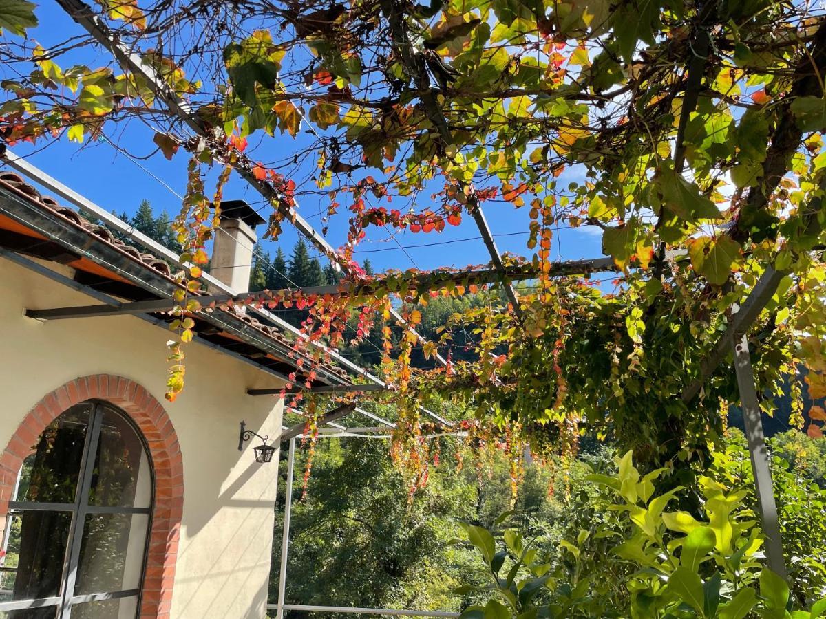 Villa La Limonaia Di Casagrande Barga Exterior foto
